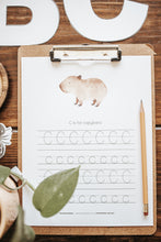 Load image into Gallery viewer, LETTER BASKETS