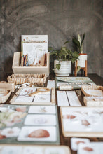 Load image into Gallery viewer, NATURE SCIENCE MORNING BASKET