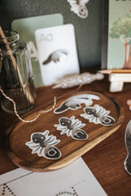 Load image into Gallery viewer, LETTER BASKETS