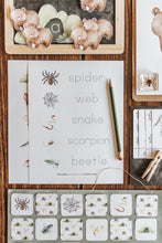 Load image into Gallery viewer, SPELEOLOGY - CAVE DWELLERS! MORNING BASKET