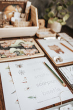 Load image into Gallery viewer, SPELEOLOGY - CAVE DWELLERS! MORNING BASKET