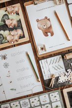 Load image into Gallery viewer, SPELEOLOGY - CAVE DWELLERS! MORNING BASKET