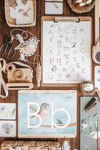 Load image into Gallery viewer, BIRDS MORNING BASKET