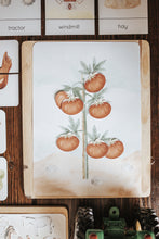 Load image into Gallery viewer, ON THE FARM MORNING BASKET