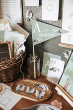 Load image into Gallery viewer, LETTER BASKETS