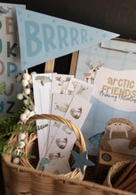 Load image into Gallery viewer, ARCTIC FRIENDS ACTIVITY PACK