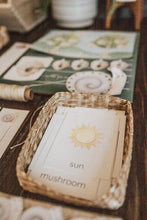 Load image into Gallery viewer, NATURE SCIENCE MORNING BASKET