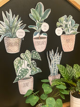 Load image into Gallery viewer, BOHO BOTANY BIRTHDAY DISPLAY