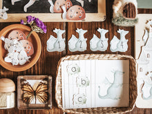 Load image into Gallery viewer, MYTHOLOGY MORNING BASKET