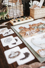 Load image into Gallery viewer, PALEONTOLOGY MORNING BASKET