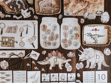 Load image into Gallery viewer, PALEONTOLOGY MORNING BASKET