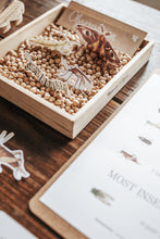 Load image into Gallery viewer, ENTOMOLOGY LAB DRAMATIC PLAY SET