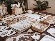 Load image into Gallery viewer, PALEONTOLOGY MORNING BASKET