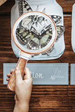 Load image into Gallery viewer, ENTOMOLOGY LAB DRAMATIC PLAY SET