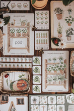 Load image into Gallery viewer, BOTANY MORNING BASKET