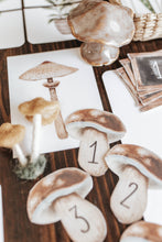 Load image into Gallery viewer, BOTANY MORNING BASKET