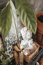Load image into Gallery viewer, BOTANY MORNING BASKET