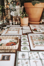 Load image into Gallery viewer, BOTANY MORNING BASKET