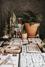 Load image into Gallery viewer, BOTANY MORNING BASKET