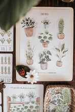 Load image into Gallery viewer, BOTANY MORNING BASKET