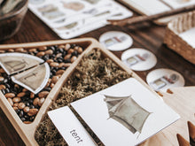 Load image into Gallery viewer, CAMPING MORNING BASKET