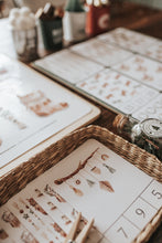 Load image into Gallery viewer, CHRISTMAS COUNT & CLIP CARDS AND MATCHING ACTIVITY FREEBIE