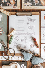 Load image into Gallery viewer, BUGS/ENTOMOLOGY MORNING BASKET