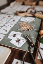 Load image into Gallery viewer, BUGS/ENTOMOLOGY MORNING BASKET