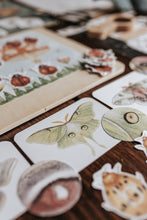 Load image into Gallery viewer, BUGS/ENTOMOLOGY MORNING BASKET