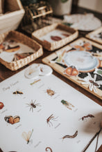 Load image into Gallery viewer, BUGS/ENTOMOLOGY MORNING BASKET
