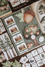 Load image into Gallery viewer, FORESTRY MORNING BASKET