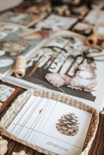 Load image into Gallery viewer, FORESTRY MORNING BASKET
