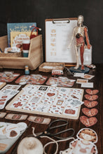 Load image into Gallery viewer, HUMAN BODY MORNING BASKET