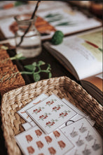 Load image into Gallery viewer, GARDENING MORNING BASKET