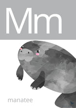 Load image into Gallery viewer, WATERCOLOUR ALPHABET POSTERS