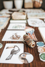 Load image into Gallery viewer, TROPICAL ECOLOGY MORNING BASKET