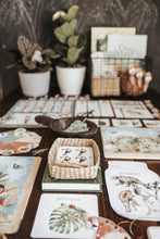 Load image into Gallery viewer, TROPICAL ECOLOGY MORNING BASKET