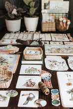 Load image into Gallery viewer, TROPICAL ECOLOGY MORNING BASKET