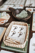 Load image into Gallery viewer, TROPICAL ECOLOGY MORNING BASKET