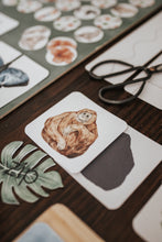 Load image into Gallery viewer, TROPICAL ECOLOGY MORNING BASKET