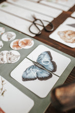 Load image into Gallery viewer, TROPICAL ECOLOGY MORNING BASKET