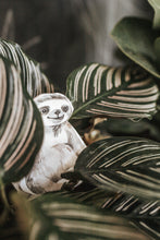 Load image into Gallery viewer, TROPICAL ECOLOGY MORNING BASKET