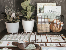 Load image into Gallery viewer, TROPICAL ECOLOGY MORNING BASKET