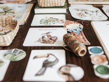 Load image into Gallery viewer, TROPICAL ECOLOGY MORNING BASKET