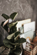 Load image into Gallery viewer, TROPICAL ECOLOGY MORNING BASKET