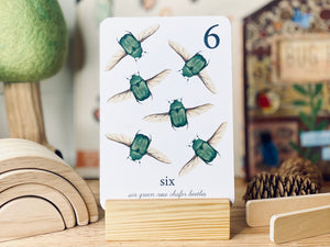 BEETLE NUMBER CARDS