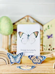 TROPICAL BUTTERFLY SPECIES CARDS