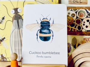 BEE SPECIES CARDS