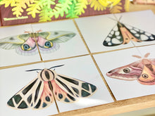 Load image into Gallery viewer, MOTH MATCHING PUZZLES
