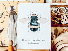 Load image into Gallery viewer, BEE SPECIES CARDS
